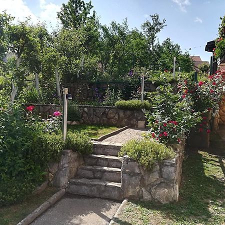 Apartment Bozic فروبفسكو المظهر الخارجي الصورة