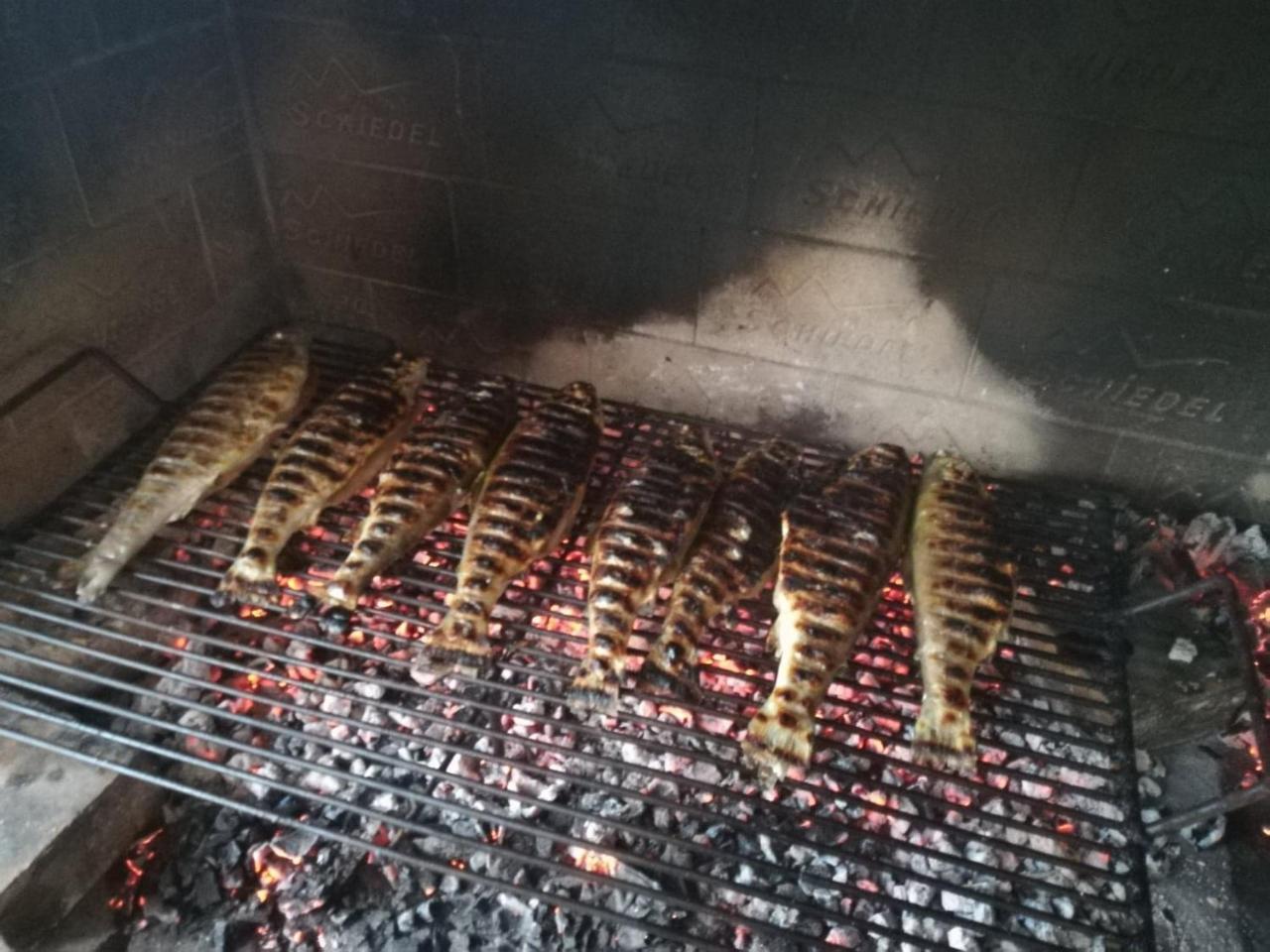 Apartment Bozic فروبفسكو المظهر الخارجي الصورة